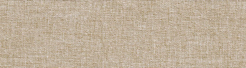 Light Color Linen Texture