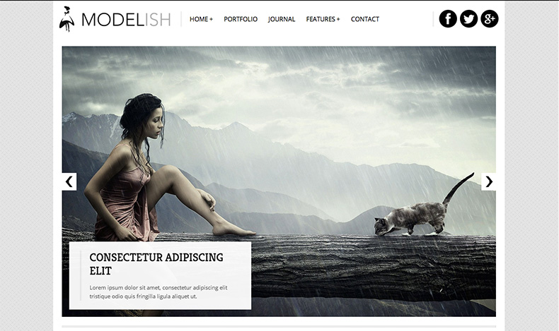 Modelish WordPress Theme