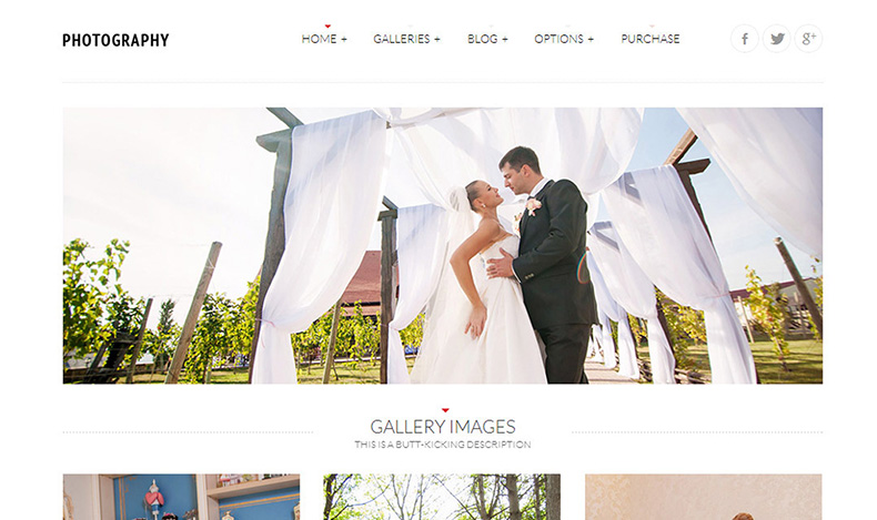 Tripod WordPress Theme